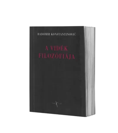 readomir-konstantinovic-a-videk-filozofiaja