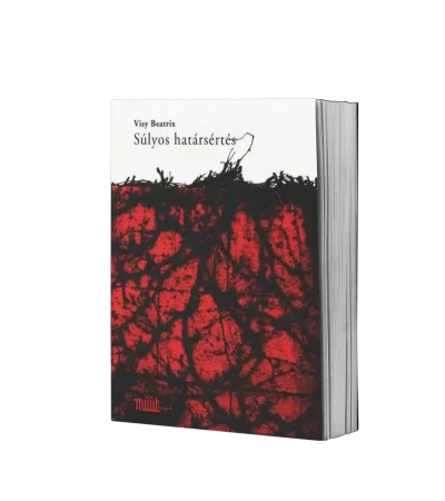 visy-beatrix-sulyos-hatarsertes